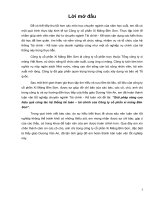 Giải pháp nâng cao hiệu quả công tác hệ thống kế toán – tài chính của Công ty cổ phần xi măng Bỉm Sơn