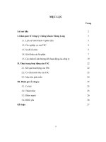 Thực tập tại công ty chứng khoán thăng long