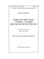 tóm tắt luận án  nghiên cứu phẫu thuật cắt rộng  tạo hình điều trị ung thư da vùng mặt