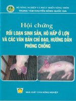 Hội chứng rối loạn sinh sản, hô hấp ở lợn