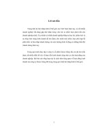 Tổng quan về hoạt động kinh doanh của công ty simco sông đà