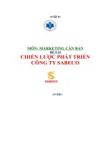 CHIẾN lược PHÁT TRIỂN CÔNG TY SABECO   marketing can bản