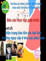 Hiện trạng bảo tồn các loài linh trưởng nguy cấp ở khu vực phía Nam