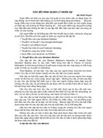 CÁC MÔ HÌNH QUẢN LÝ NHÂN SỰ