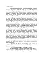 nghiên cứu tình trạng kháng insulin và mức độ kiểm soát một số chỉ số ở bệnh nhân đái tháo đường týp 2 có tổn thương thận tóm tắt bản tiếng anh