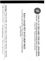 báo cáo quyết toán hợp nhất công ty cổ phần thủy điện vĩnh sơn sông hinh và công ty cổ phần du lịch bình định quý 2 năm 2009