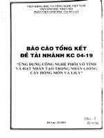 Ứng dụng công nghệ phôi vô tính và hạt nhân tạo trong nhân giống cây Hồng Môn và Lily