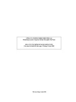 báo cáo tài chính nhiệt điện phả lại năm  2009