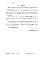 hoàn thiện triển khai chiến lược phát triển thị trường tại công ty cổ phần đầu tư tân minh