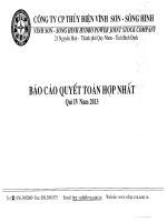 công ty cổ phần thủy điện vĩnh sơn sông hinh báo cáo quyết toán hợp nhất quý 4 năm 2013