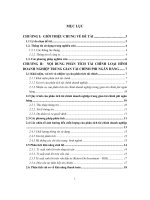 Chuyên đề phân tích tài chính công ty cổ phần đầu tư công đoàn BIDV