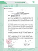 báo cáo kiểm toán của báo cáo tài chính hợp nhất ngân hàng ngoại thương việt nam cho năm tài chính kết thúc 31 tháng 12 năm 2005