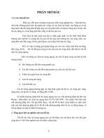 đề tài tính toán và so sánh cọc chịu tải trọng ngang bằng các phương pháp khác nhau