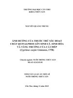 tóm tắt luận án tiên sĩ nghiên cứu đặc điểm lâm sàng, cận lâm sàng, đánh giá kết quả phẫu thuật nội soi và yếu tố nguy cơ hpv u nhú mũi xoang