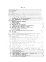 Hoạt động thanh toán quốc tế tại ngân hàng sacombank chi nhánh huế