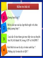 Tiết 8 bài 9 Quang hợp ở các nhóm thực vật C3,C4 và CAM