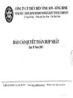 công ty cổ phần thủy điện vĩnh sơn sông hinh báo cáo quyết toán hợp nhất quý 2 năm 2013