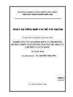 Nghiên cứu các giải pháp KHCN và thị trường để phát triển vùng Hồ Tiêu nguyên liệu phục vụ chế biến và xuất khẩu
