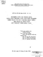 Nghiên cứu sự phân hóa đào tạo trung học chuyên nghiệp hiện nay và xây dựng mục tiêu, kế hoạch đào tạo kỹ thuật viên bậc cao