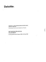 vinh son song hinh hydro power joint stock company reviewed financial statements for the period from 1 jannuary 2009 to 30 june 2009