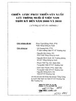 Chiến lược phát triển sản xuất lưu thông muối ở Việt Nam thời kỳ đến năm 2000 và 2010