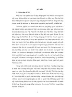 tóm tắt luận án tiến sĩ đời sống văn hóa tinh thần của cộng đồng người việt ở đông bắc thái lan (trường hợp tỉnh sakôn nakhon)