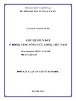 tóm tắt luận án tiến sĩ khu hệ giun đất ở đồng bằng sông cửu long, việt nam