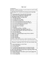 Chuyên đề nâng cao chất lượng tín dụng xuất nhập khẩu tại ngân hàng thương mại cổ phần xuất nhập khẩu việt nam chi nhánh láng hạ