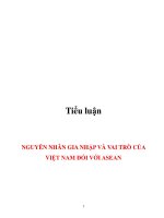 nguyên nhân gia nhập và vai trò của việt nam đối với asean