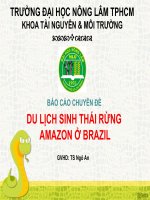 Báo cáo chuyên đề Du lịch sinh thái rừng amazon ở Brazil