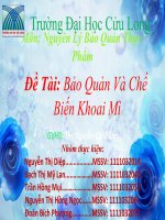 công nghệ bảo quản và chế biến khoai mì