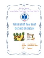 Công Nghệ Sản Xuất Enzyme Bromelin