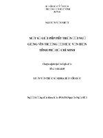 Một số giải pháp phát triển đội ngũ giảng viên trường đại học văn hiến thành phố hồ chí minh