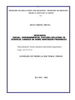 tóm tắt luận án tiếng anh  nghiên cứu một số yếu tố môi trường xã hội liên quan tới ung thư cổ tử cung tại một số tỉnh phía bắc