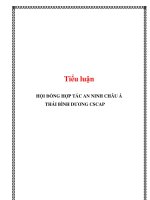 hội đồng hợp tác an ninh châu á thái bình dương cscap