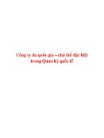 công ty đa quốc gia – chủ thể đặc biệt trong quan hệ quốc tế