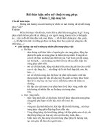 những ảnh hưởng của môi trường tự nhiên và môi trường xã hội đến trang phục việt