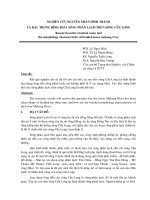 NGHIÊN CỨU NGUYÊN NHÂN HÌNH THÀNH VÀ ĐẶC TRƯNG HÌNH THÁI  SÔNG PHÂN LẠCH TRÊN SÔNG CỬU LONG