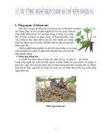 công nghệ bảo quản và chế biến khoai mì