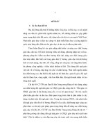 một số giải pháp nâng cao chất lượng đội ngũ giáo viên trung học cơ sở thị xã hồng ngự, tỉnh đồng tháp