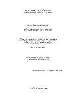 Luận án tiến sĩ toán học: Sử dụng phương pháp phi tuyến vào các bài toán biên