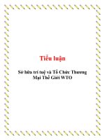 Tiểu luận Sở hữa trí tuệ và Tổ Chức Thương Mại Thế Giới WTO