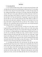 tóm tắt luận án tiếng việt  kí như một loại hình diễn ngôn