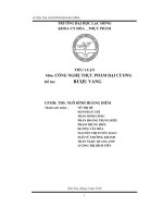 Giới thiệu tổng quát qui trình sản xuất rượu vang