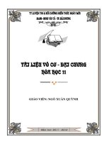 Đề cương ôn tập hóa học chuyên ban lớp 11 học kỳ I