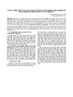 CÔNG  NGHỆ  CHẾ  TẠO  CẦU  MÁNG  XI  MĂNG  LƯỚI  THÉP  (XMLT) NHỊP LỚN  BẰNG  PHƯƠNG  PHÁP  RUNG  ÁP  VÁN KHUÔN