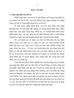 tóm tắt luận án nghiên cứu một số thông số huyết động và chức năng tim bằng siêu âm doppler ở bệnh nhân phẫu thuật thay van hai lá sorin bicarbon