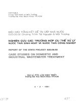 nghiên cứu trường hợp cụ thể xử lý nước thải sinh hoạt và nước thải công nghiệp