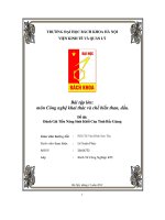 Bài tập lớn công nghệ khai thác và chế biến than, dầu đánh giá tiền năng sinh khối của tỉnh bắc giang