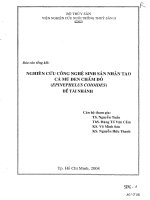 nghiên cứu công nghệ sinh sản nhân tạo cá mú đen chấm đỏ (epinephelus coioides)